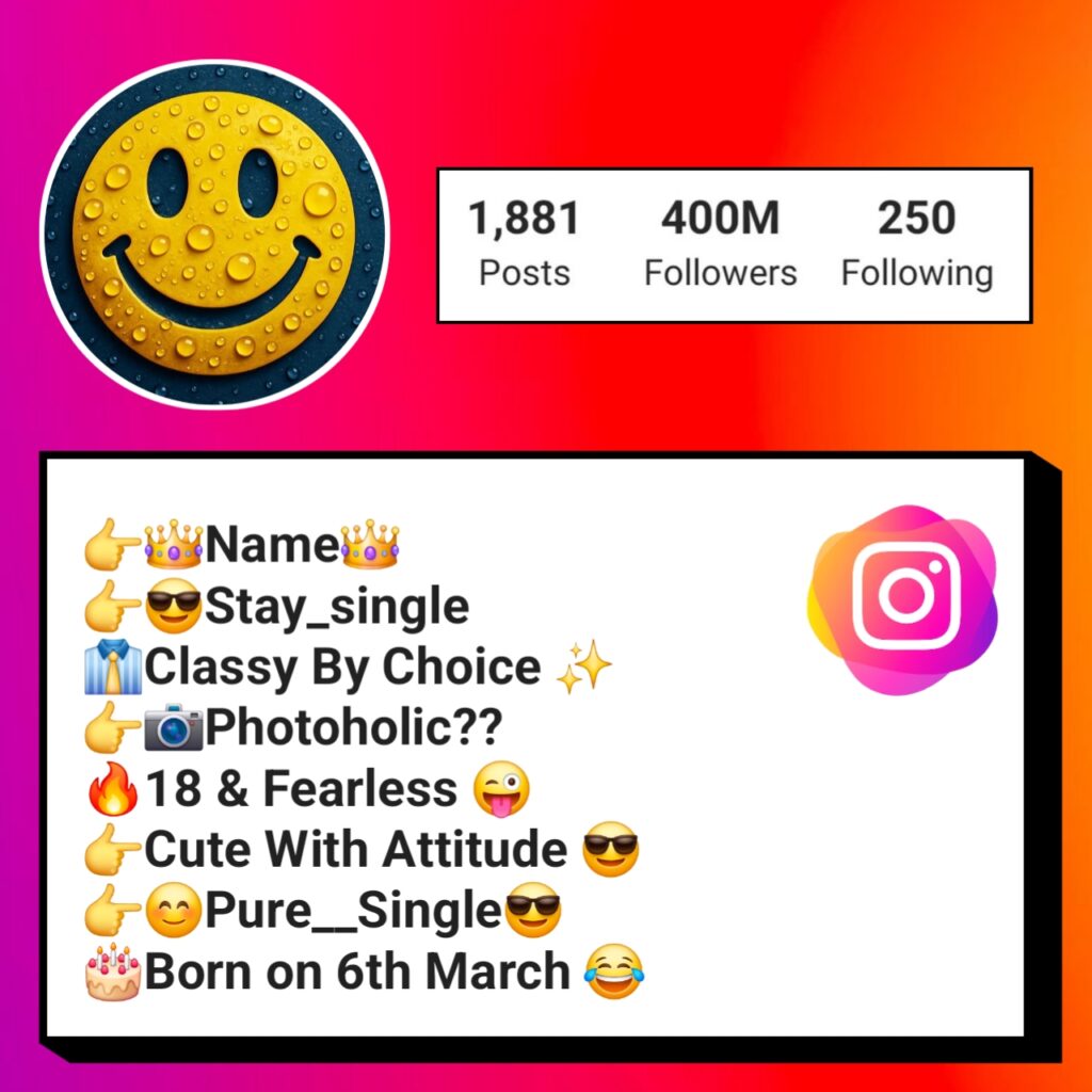 Funny bio for instagram for boy attitude