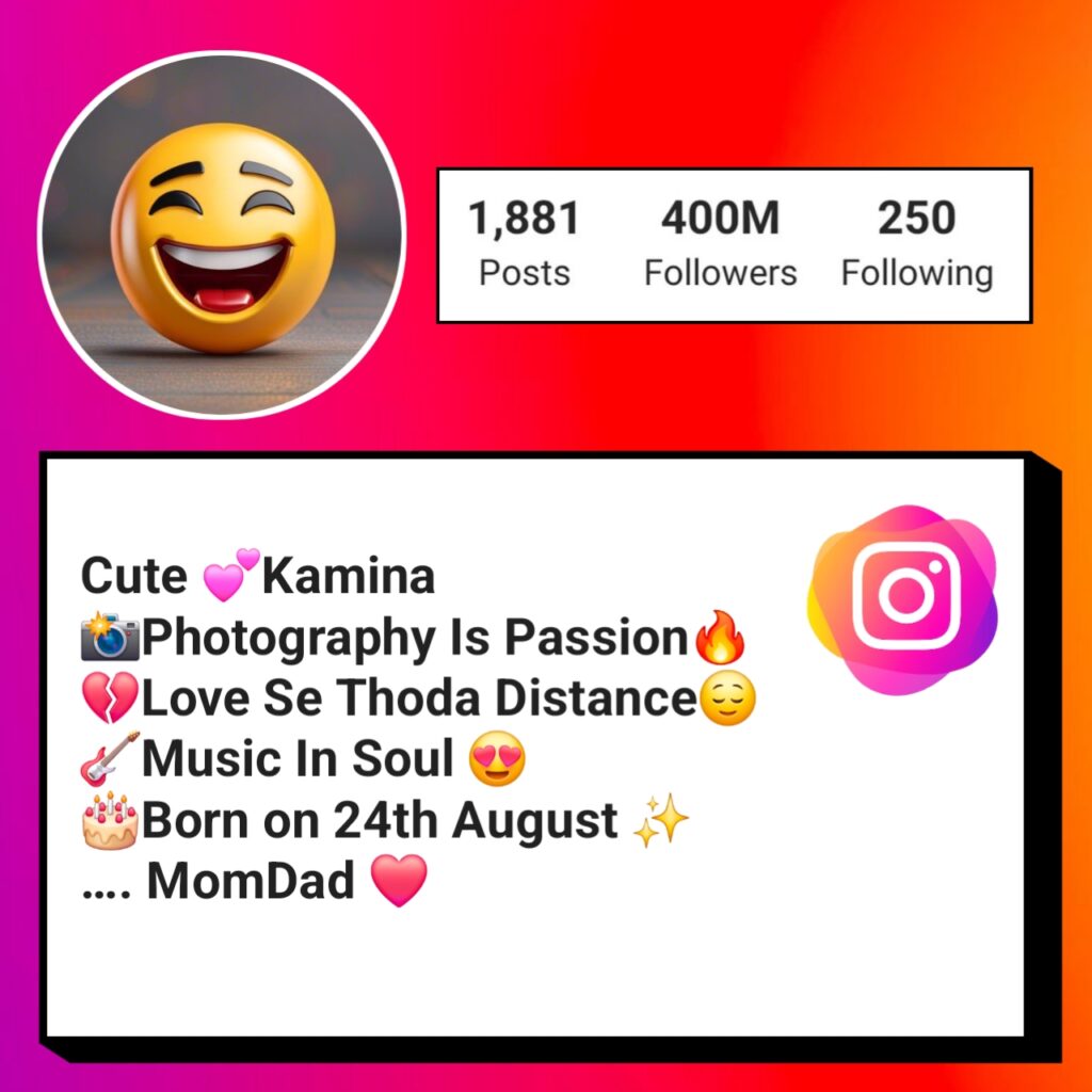Funny Instagram Bio
