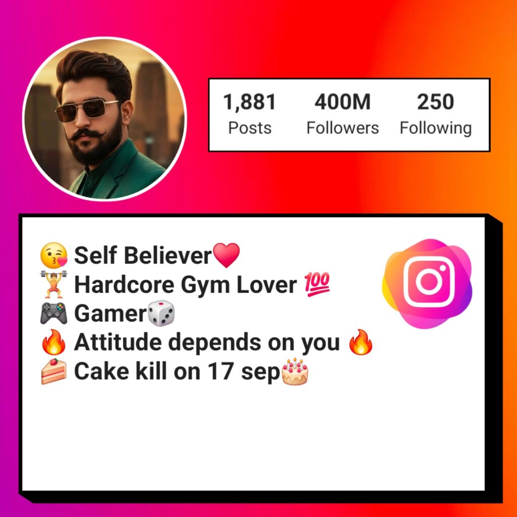 Instagram Bio for Boys Attitude
