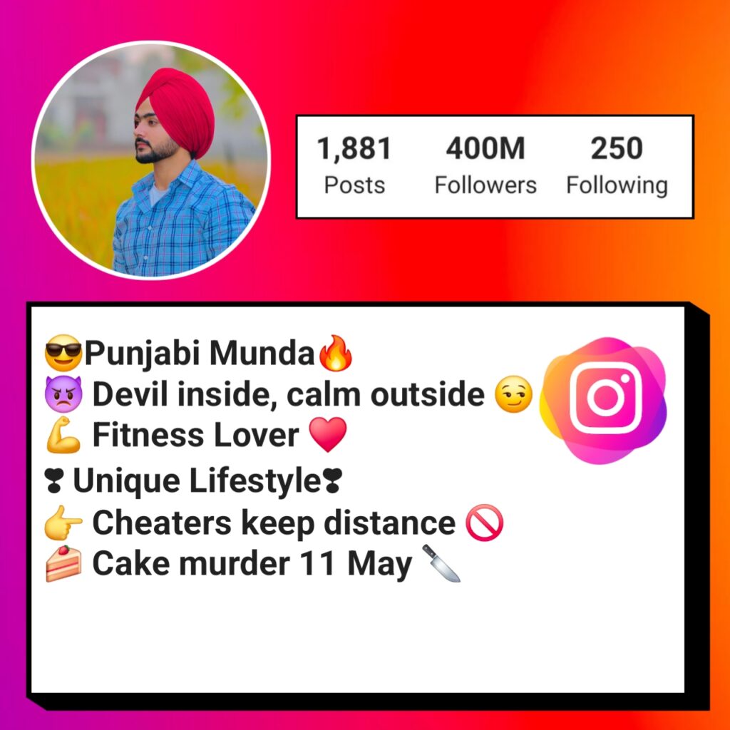 Attitude Instagram bio in punjabi