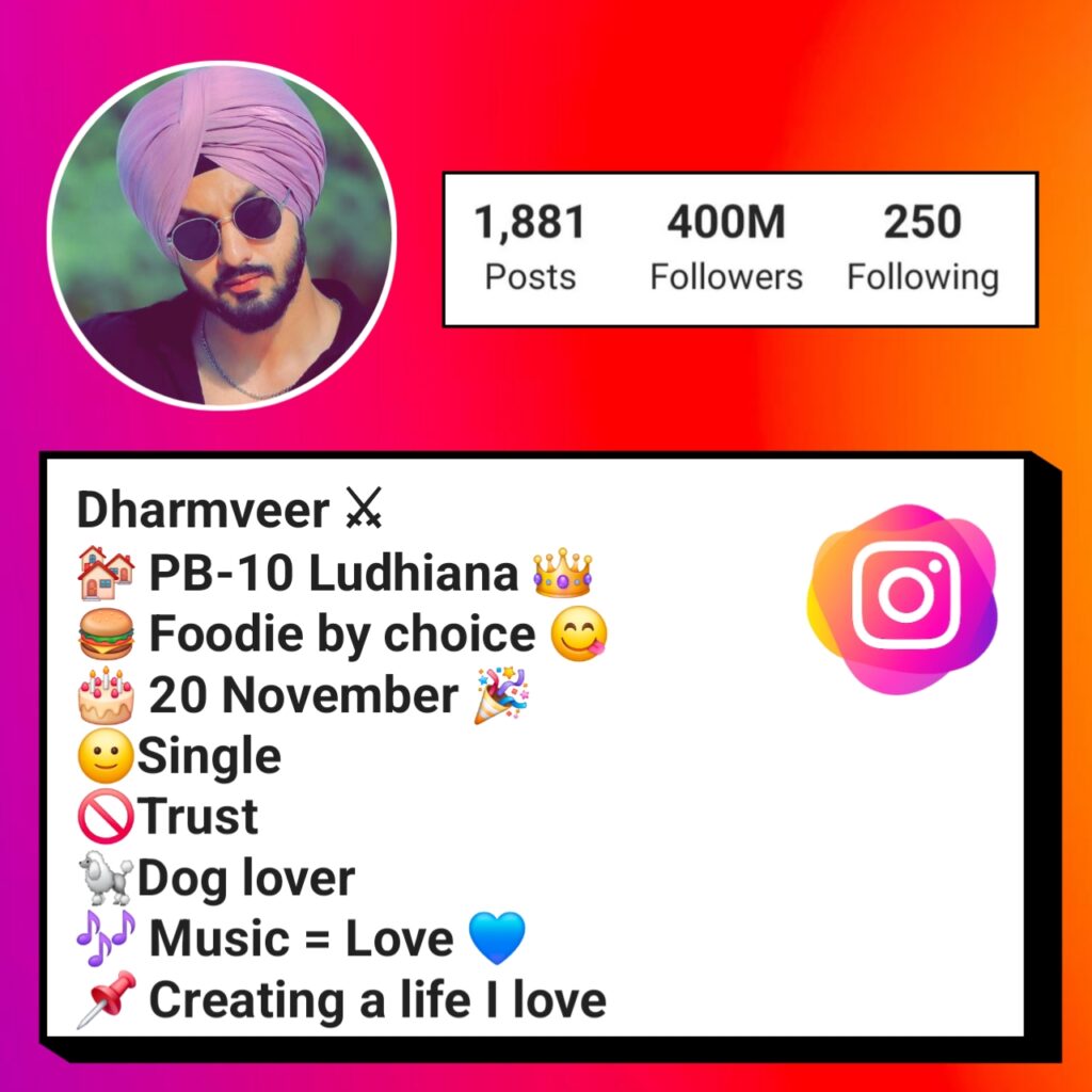 Punjabi bio for instagram for boy