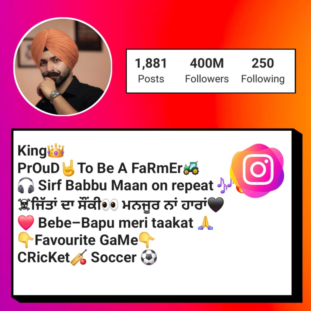 Instagram Bio in Punjabi